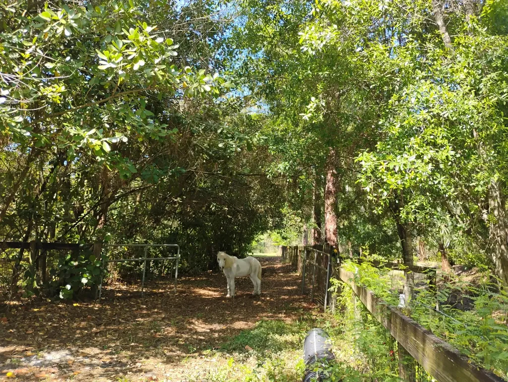 15531 42nd Road N Loxahatchee Groves FL 33470