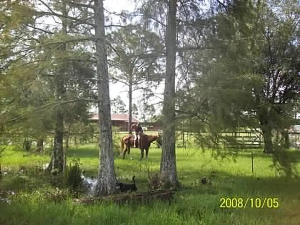 15531 42nd Road N Loxahatchee Groves FL 33470