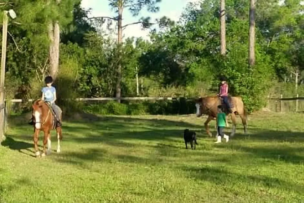 15531 42nd Road N Loxahatchee Groves FL 33470