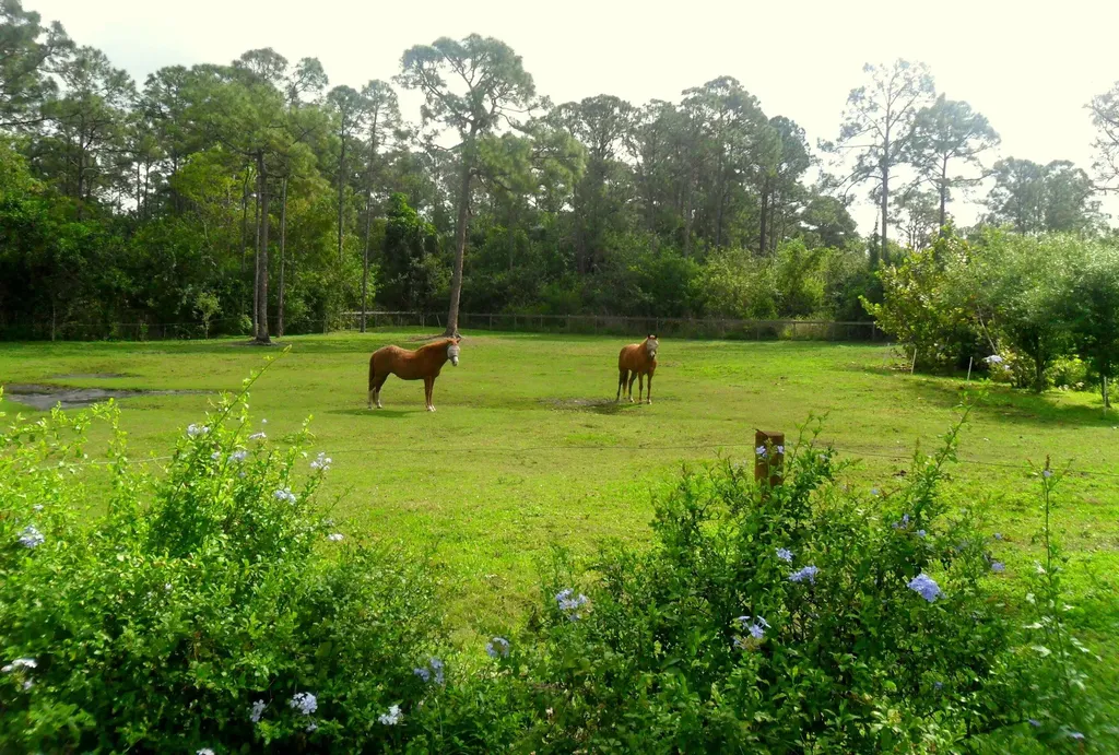 15531 42nd Road N Loxahatchee Groves FL 33470