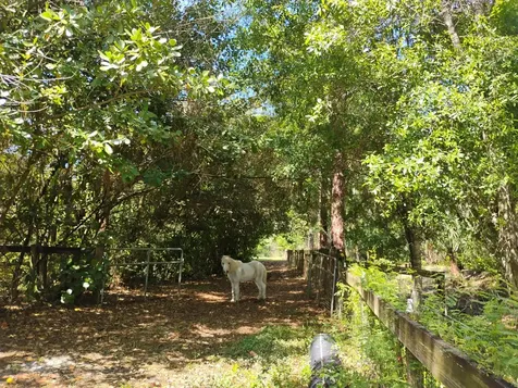 15531 42nd Road N Loxahatchee Groves FL 33470