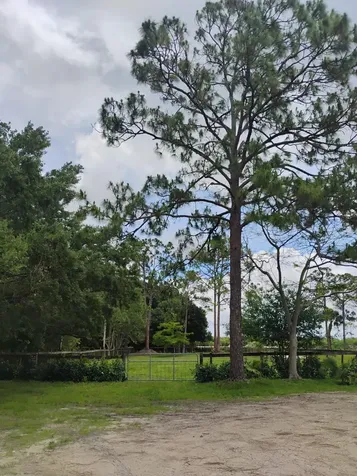 15531 42nd Road N Loxahatchee Groves FL 33470
