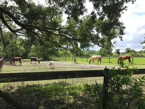 15531 42nd Road N Loxahatchee Groves FL 33470