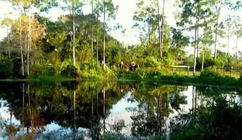 15531 42nd Road N Loxahatchee Groves FL 33470