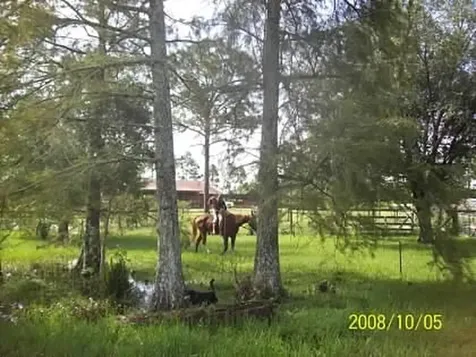 15531 42nd Road N Loxahatchee Groves FL 33470