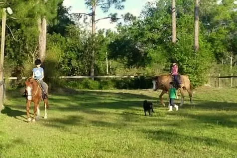 15531 42nd Road N Loxahatchee Groves FL 33470
