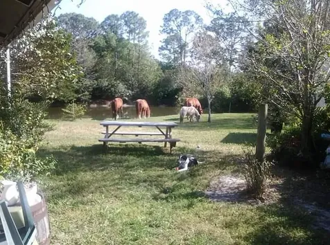 15531 42nd Road N Loxahatchee Groves FL 33470