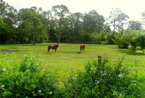 15531 42nd Road N Loxahatchee Groves FL 33470
