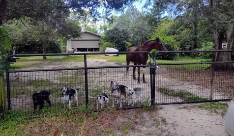 15531 42nd Road N Loxahatchee Groves FL 33470