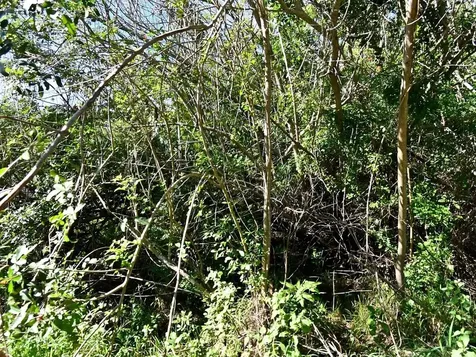 2115 S 33rd Street Fort Pierce FL 34947
