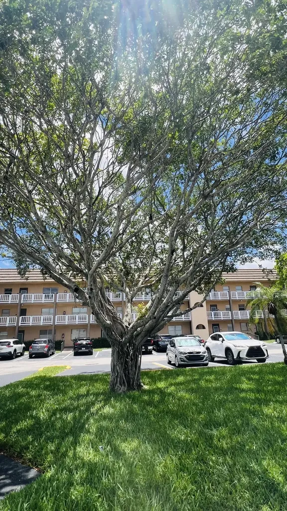9330 S Sunrise Lakes Boulevard Sunrise FL 33322