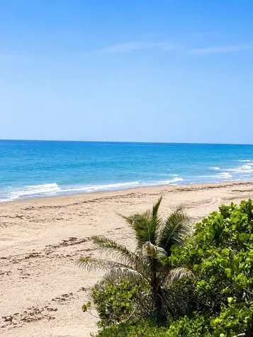 900 Ocean Drive Juno Beach FL 33408