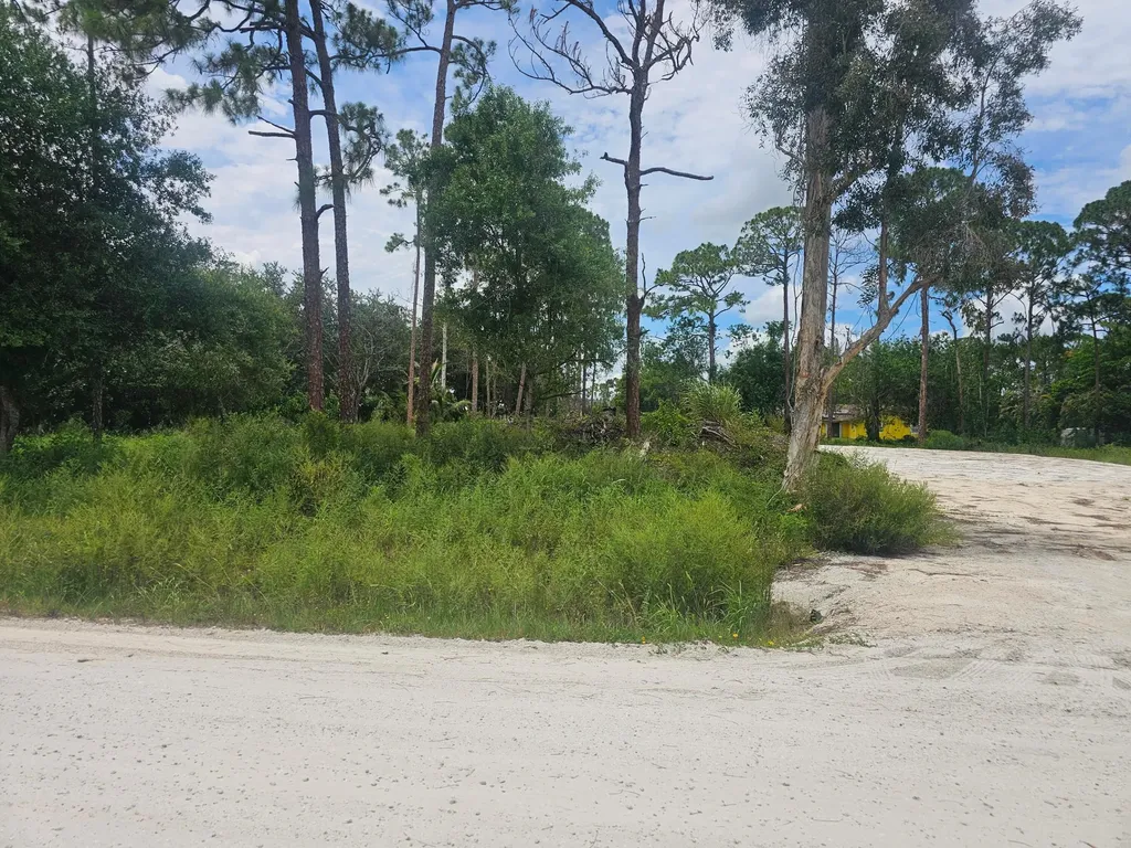 13841 76th Road N The Acreage FL 33412