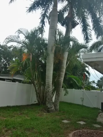1443 Ricardo Avenue Fort Myers FL 33901