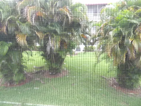 195 Fanshaw Way E Boca Raton FL 33434