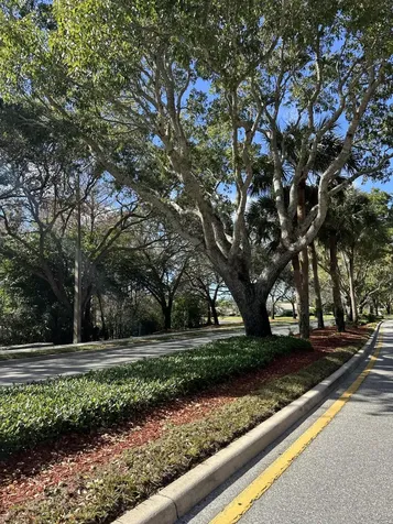 6139 Branchwood Drive Lake Worth FL 33467