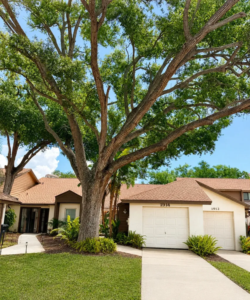 1914 Bayshore Court Safety Harbor FL 34695