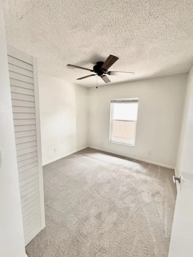1914 Bayshore Court Safety Harbor FL 34695