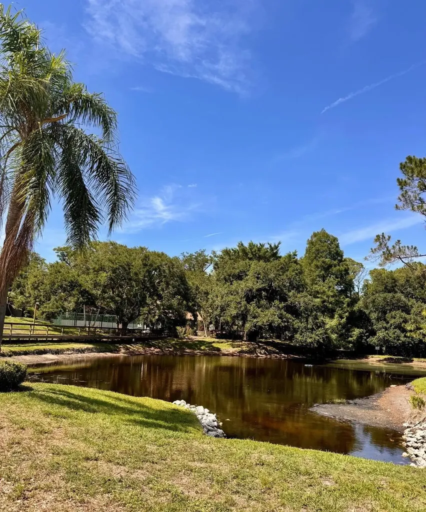 1914 Bayshore Court Safety Harbor FL 34695