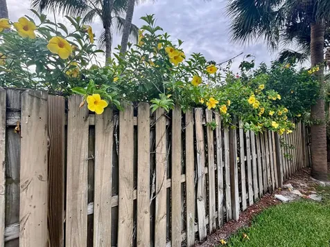 218 Seville Road West Palm Beach FL 33405
