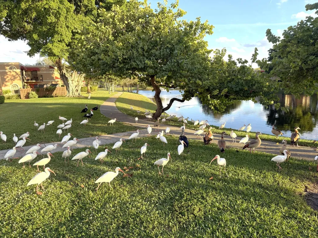 8255 Severn Drive Boca Raton FL 33433