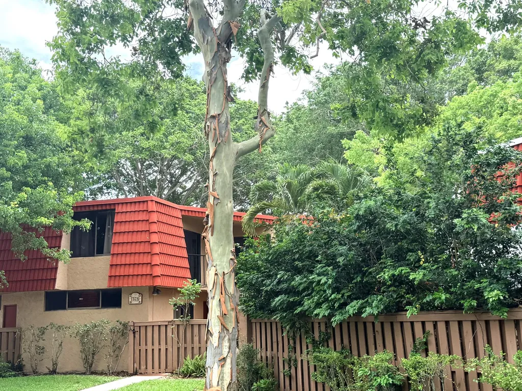 8255 Severn Drive Boca Raton FL 33433