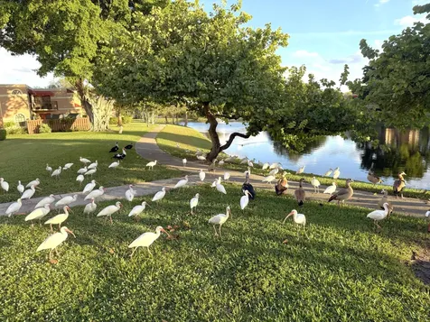 8255 Severn Drive Boca Raton FL 33433
