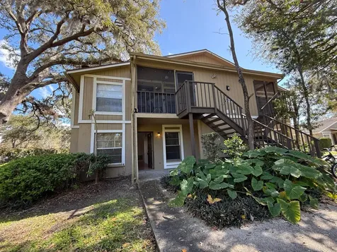 14308 Hanging Moss Circle Tampa FL 33613