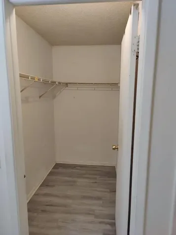 14308 Hanging Moss Circle Tampa FL 33613