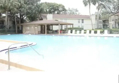14308 Hanging Moss Circle Tampa FL 33613