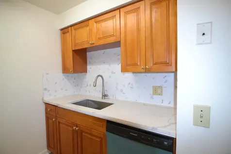 14308 Hanging Moss Circle Tampa FL 33613