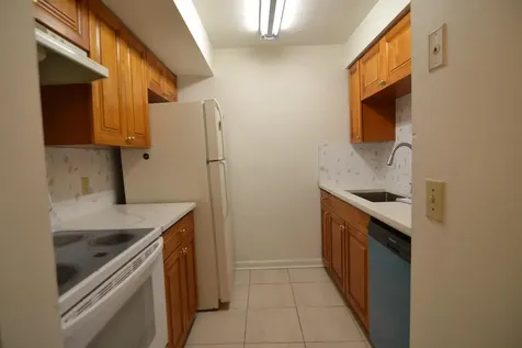 14308 Hanging Moss Circle Tampa FL 33613
