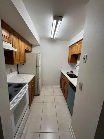 14308 Hanging Moss Circle Tampa FL 33613