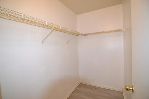 14308 Hanging Moss Circle Tampa FL 33613