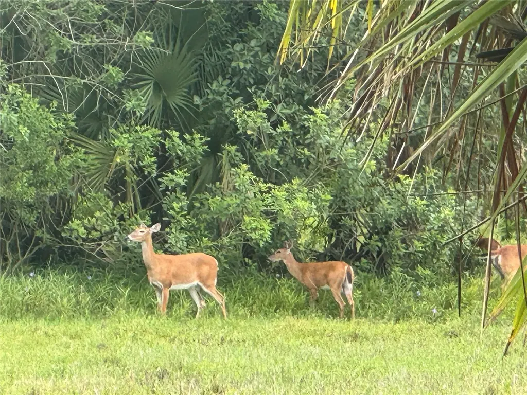 0 Co Road 832 Clewiston FL 33440