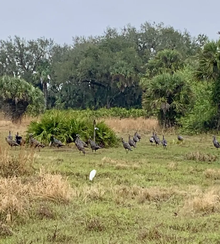 0 Co Road 832 Clewiston FL 33440
