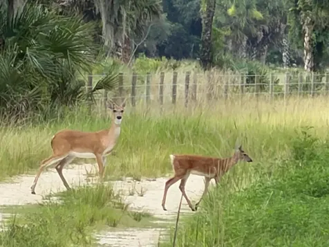 0 Co Road 832 Clewiston FL 33440