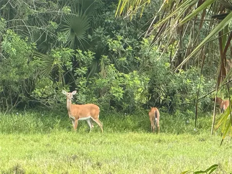 0 Co Road 832 Clewiston FL 33440