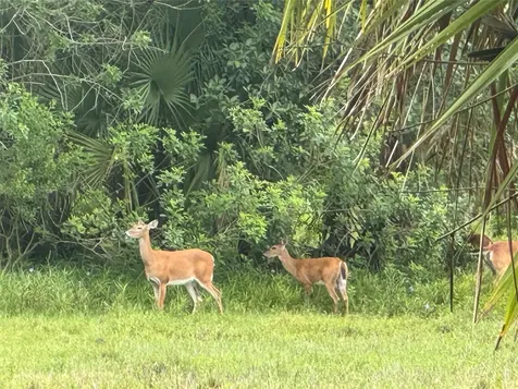 0 Co Road 832 Clewiston FL 33440