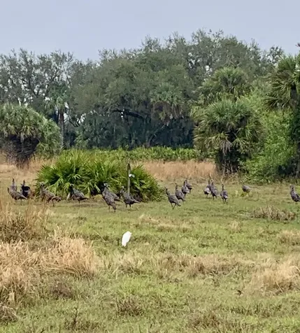 0 Co Road 832 Clewiston FL 33440