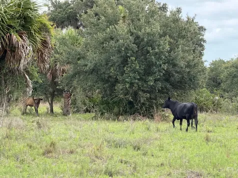 0 Co Road 832 Clewiston FL 33440