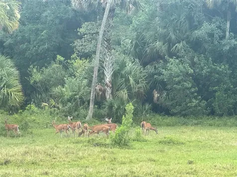 0 Co Road 832 Clewiston FL 33440