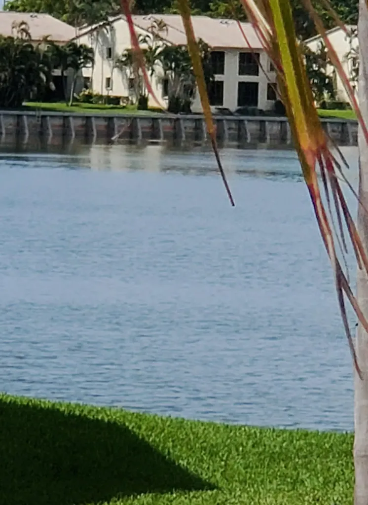 321 Norwood Terrace Boca Raton FL 33431