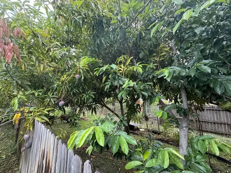 320 W 29th Street Riviera Beach FL 33404