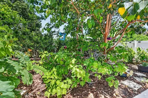 1207 SW 12th Avenue Boca Raton FL 33486