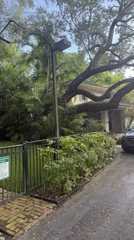 3611 SW 37th Avenue Coconut Grove FL 33133