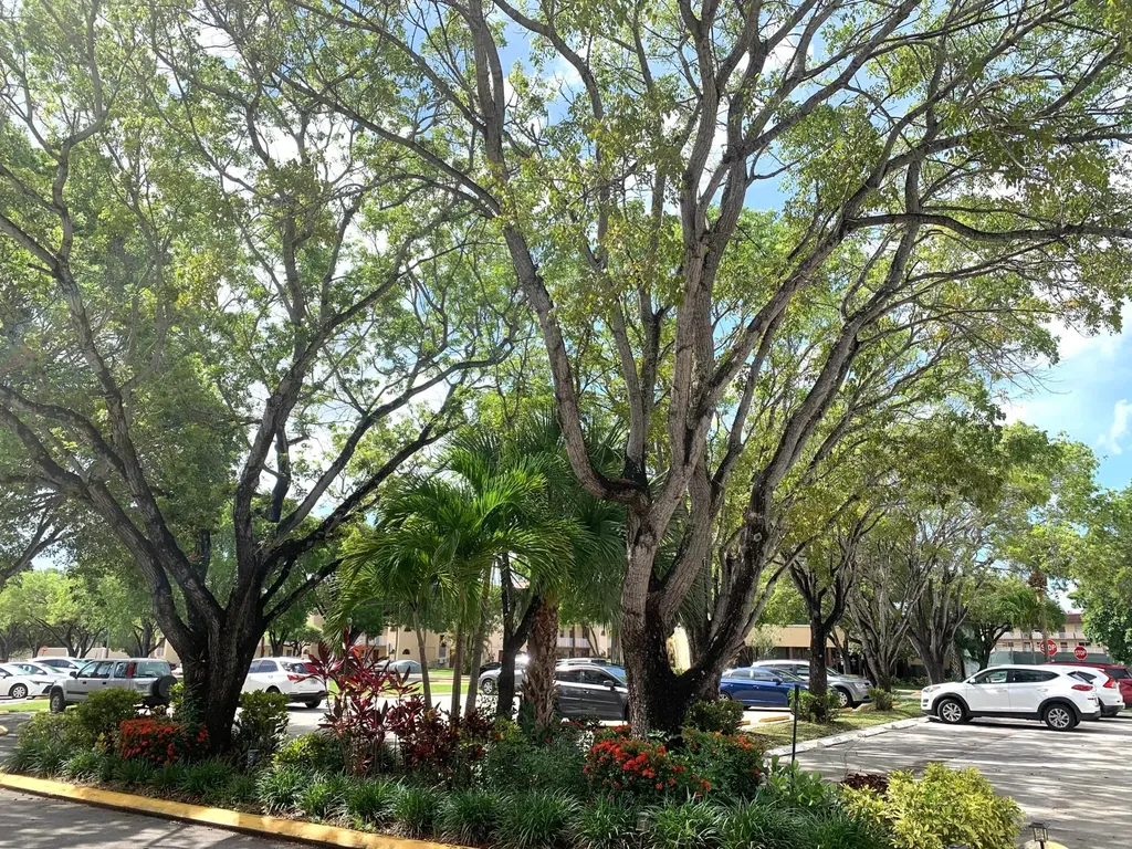 2801 N Pine Island Road Sunrise FL 33322