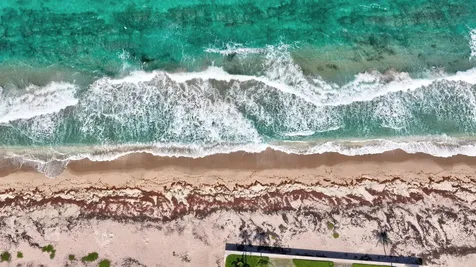 217 Plantation Road Palm Beach FL 33480