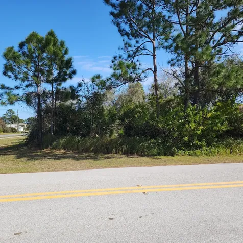 Xxx Tilden Road SE Palm Bay FL 32909