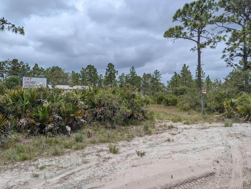 0 Holopaw Groves Road St. Cloud FL 34771